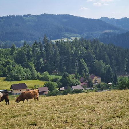 Готель Penzion Na Lukach Горні-Бечва Екстер'єр фото