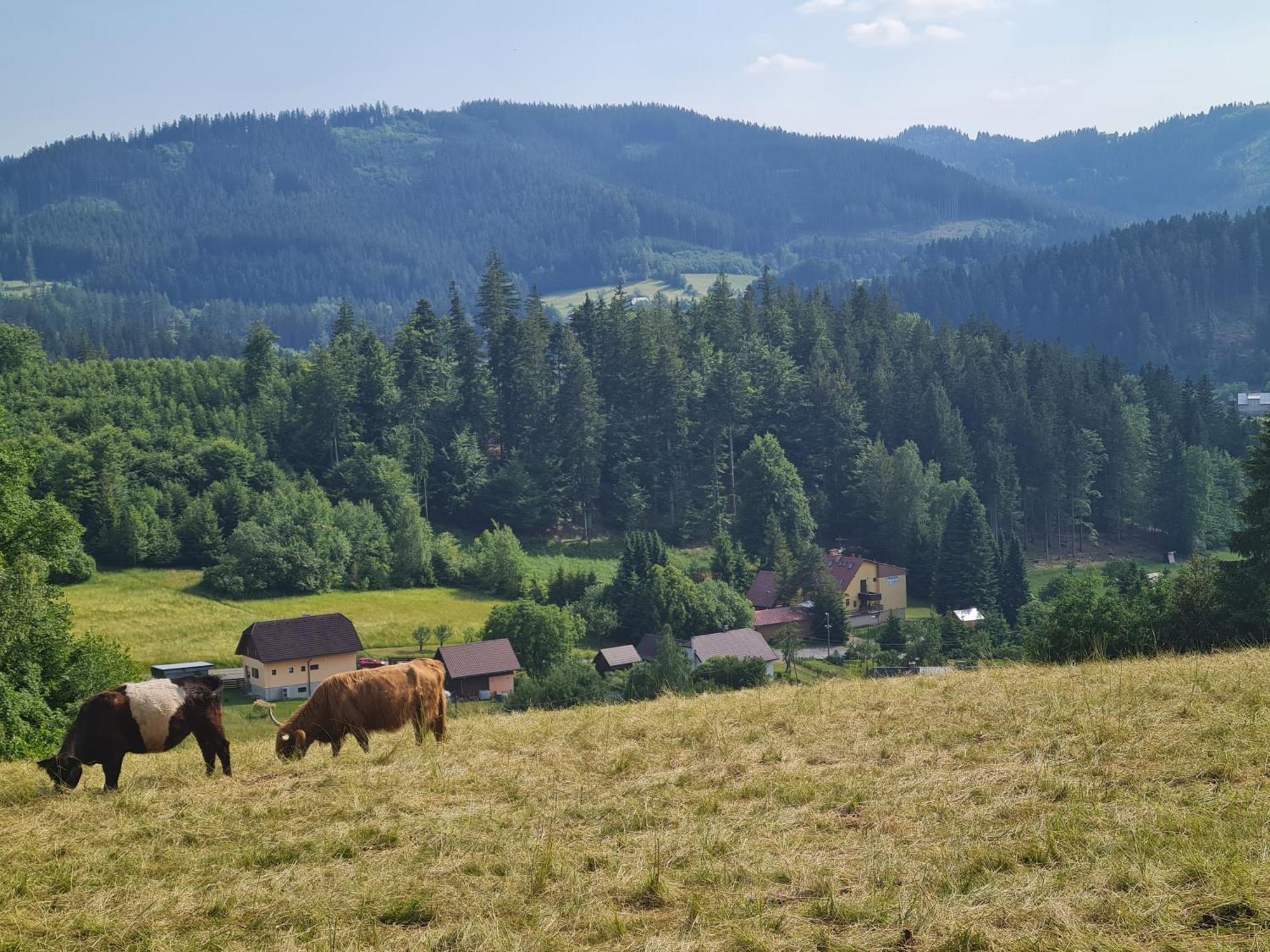 Готель Penzion Na Lukach Горні-Бечва Екстер'єр фото